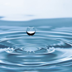 The Art of Detatchment- Part 3