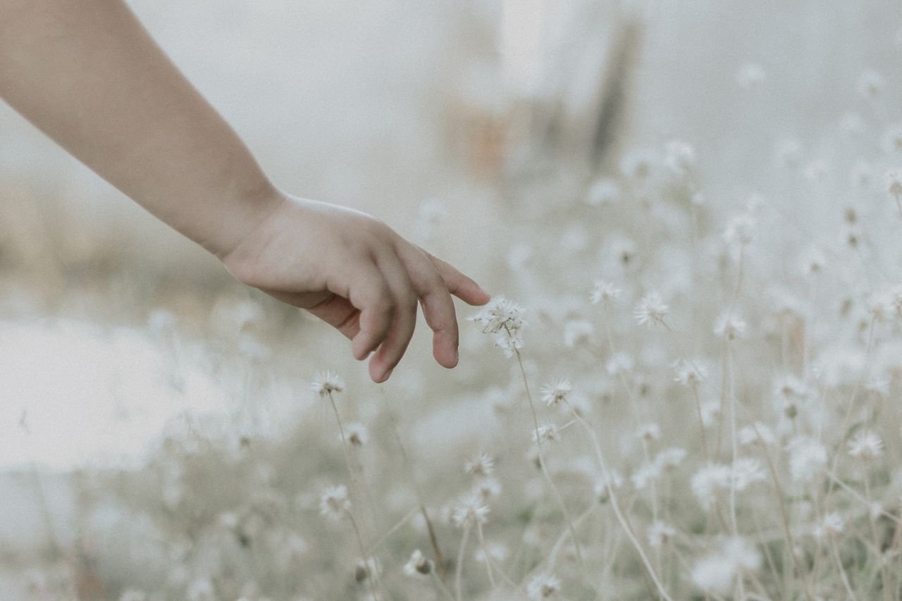 Heart Coherence: The 5 Minute Stress Reset